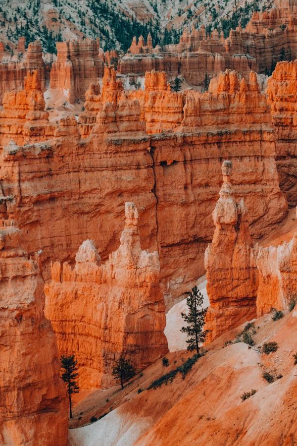 Wander Camp Bryce Canyon - Escalante Cannonville Exteriér fotografie